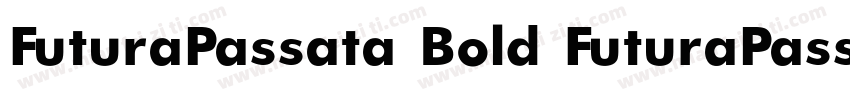 FuturaPassata Bold FuturaPassata B字体转换